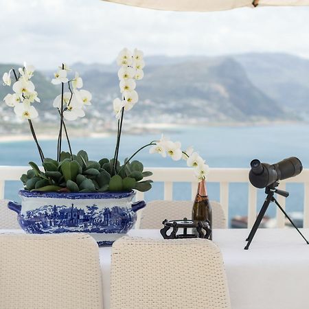 Penguin Palace Simonʼs Town Εξωτερικό φωτογραφία